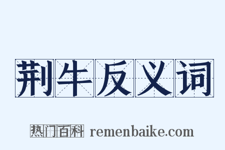 荆牛反义词是什么意思的图片